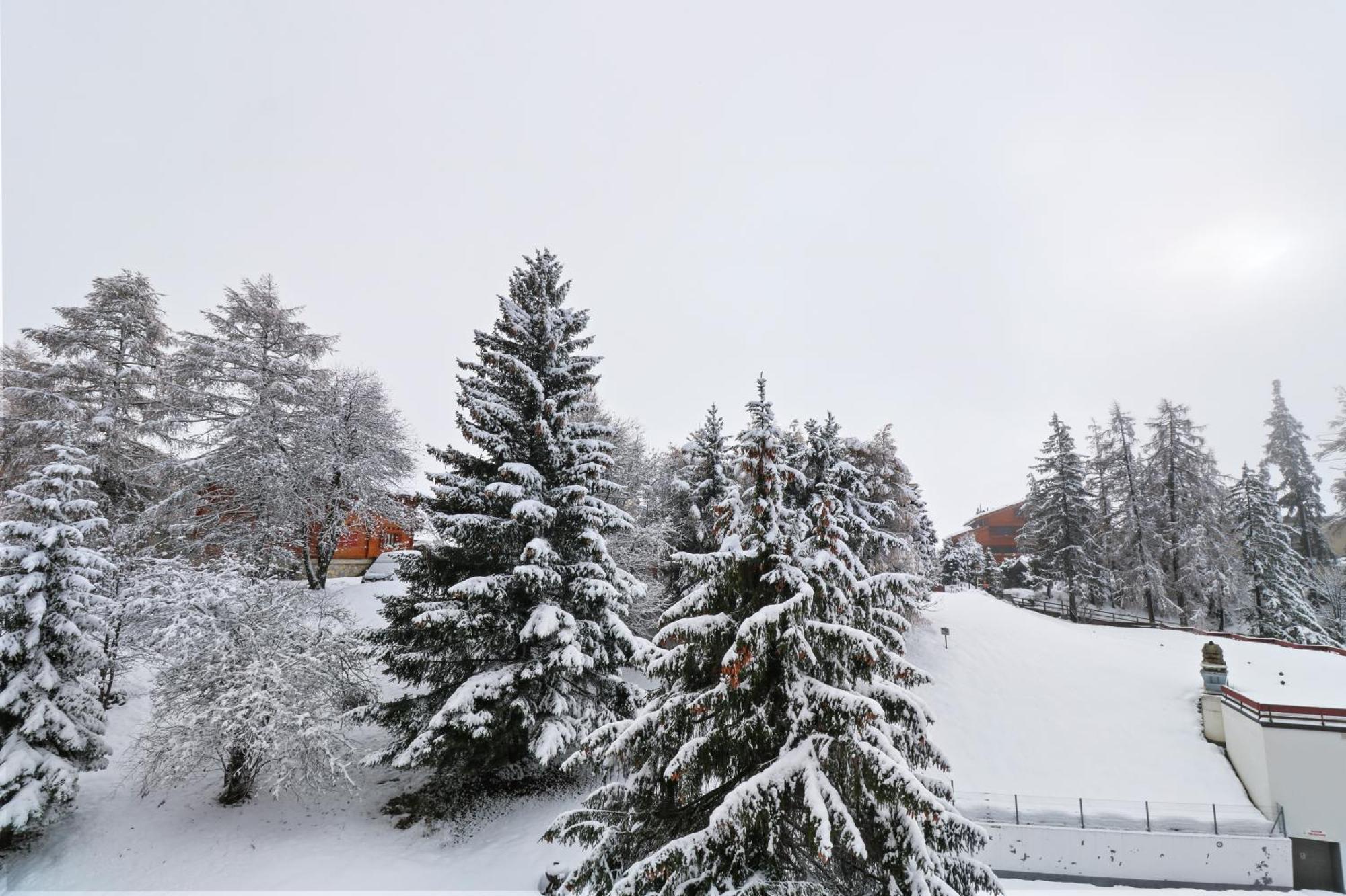 Joli Studio Avec Parking Gratuit Crans-Montana Extérieur photo